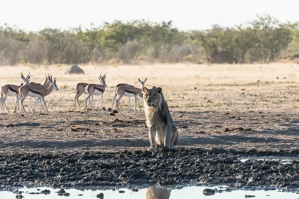 20160531_Namibia2016-7D2_9952.jpg