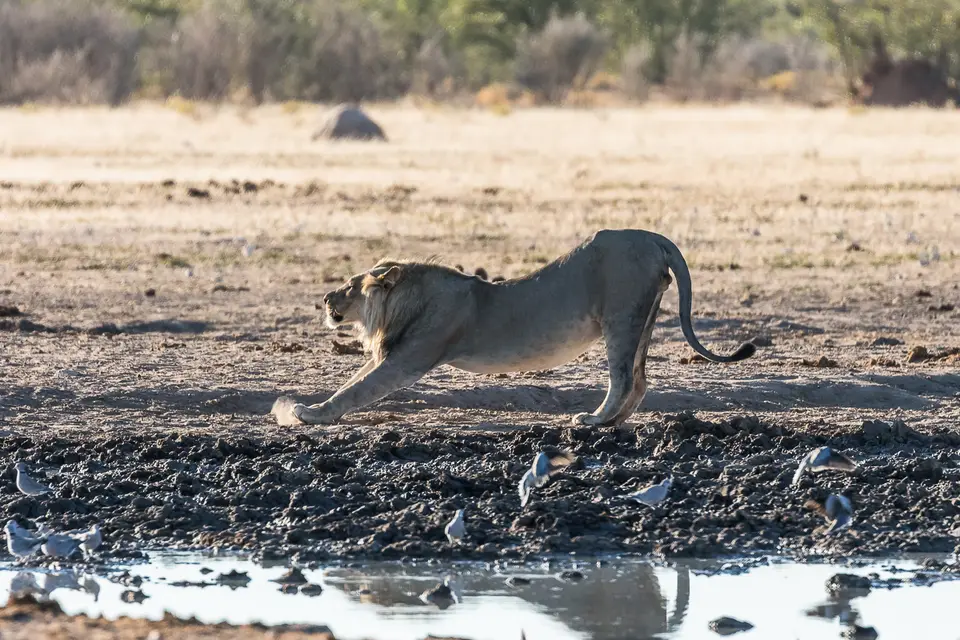 20160531_Namibia2016-7D2_9965.jpg