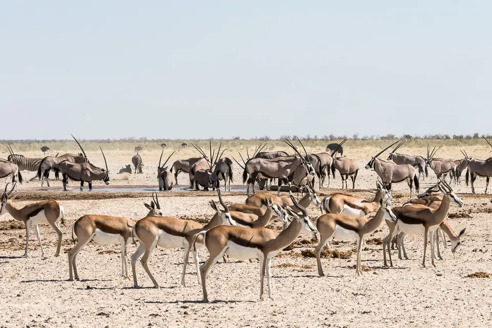 20160601_Namibia2016-7D2_0325.jpg