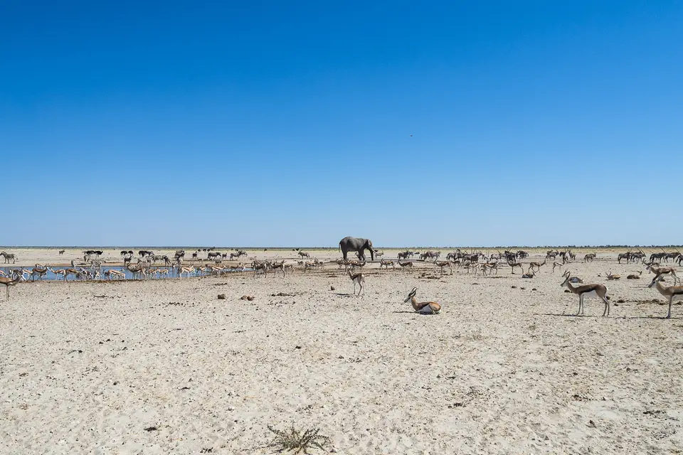 20160601_Namibia2016-O6014317.jpg