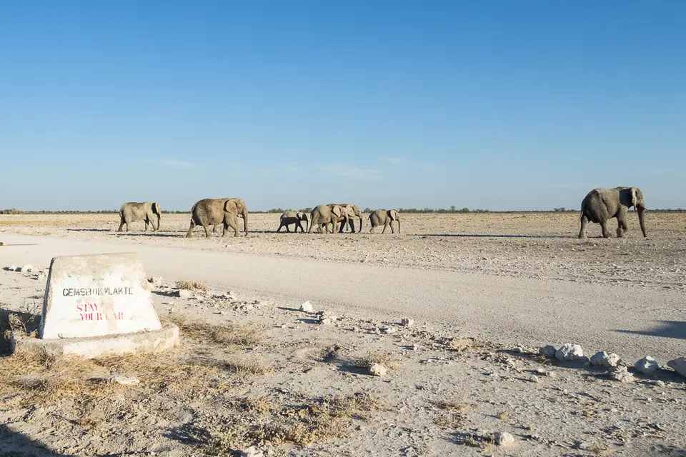 20160601_Namibia2016-O6014325.jpg