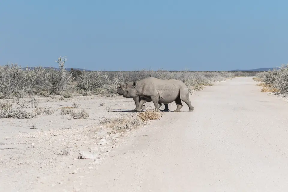 20160602_Namibia2016-7D2_0115.jpg
