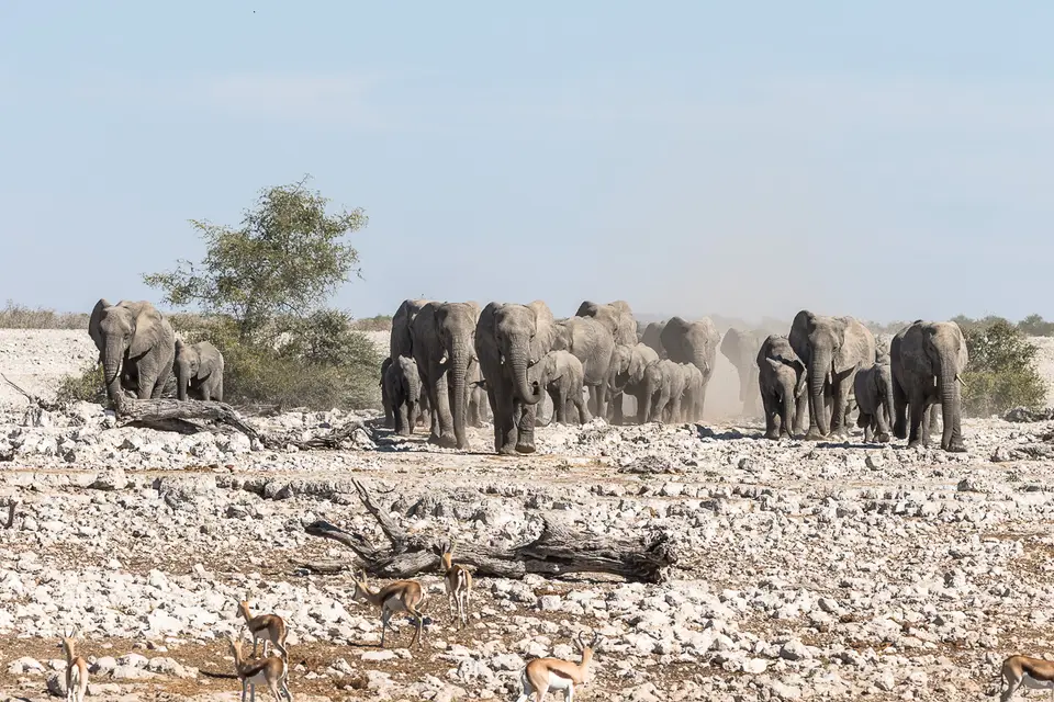 20160602_Namibia2016-7D2_0149.jpg