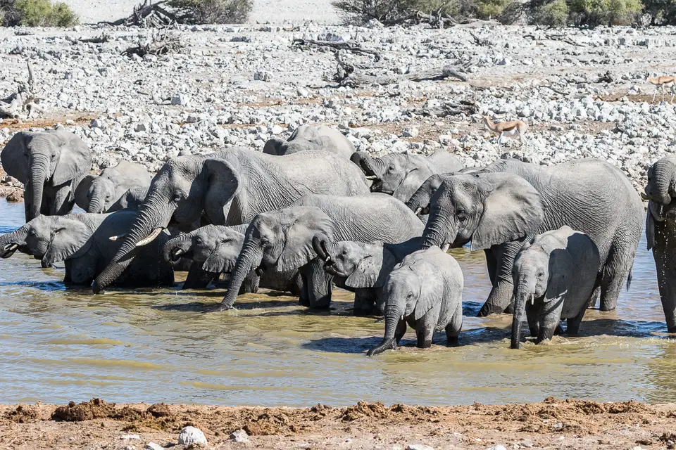 20160602_Namibia2016-7D2_0162.jpg