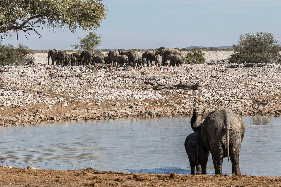 20160602_Namibia2016-7D2_0237.jpg