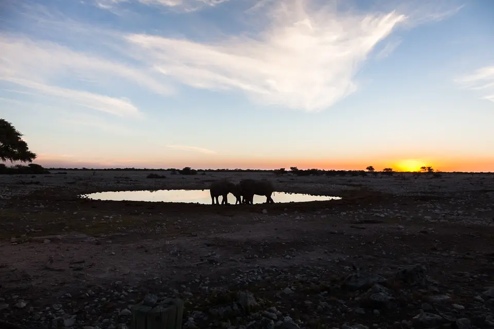 20160602_Namibia2016-IMG_9219.jpg