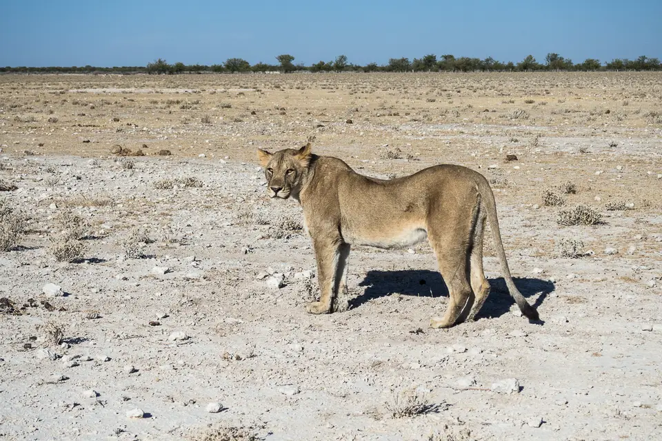 20160602_Namibia2016-O6024332.jpg