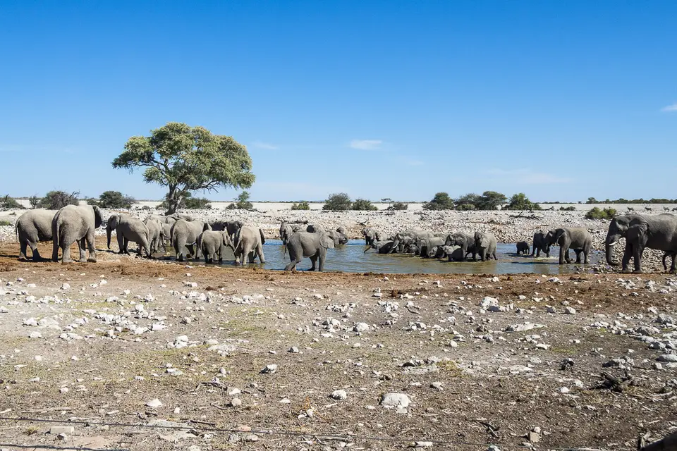20160602_Namibia2016-O6024342.jpg
