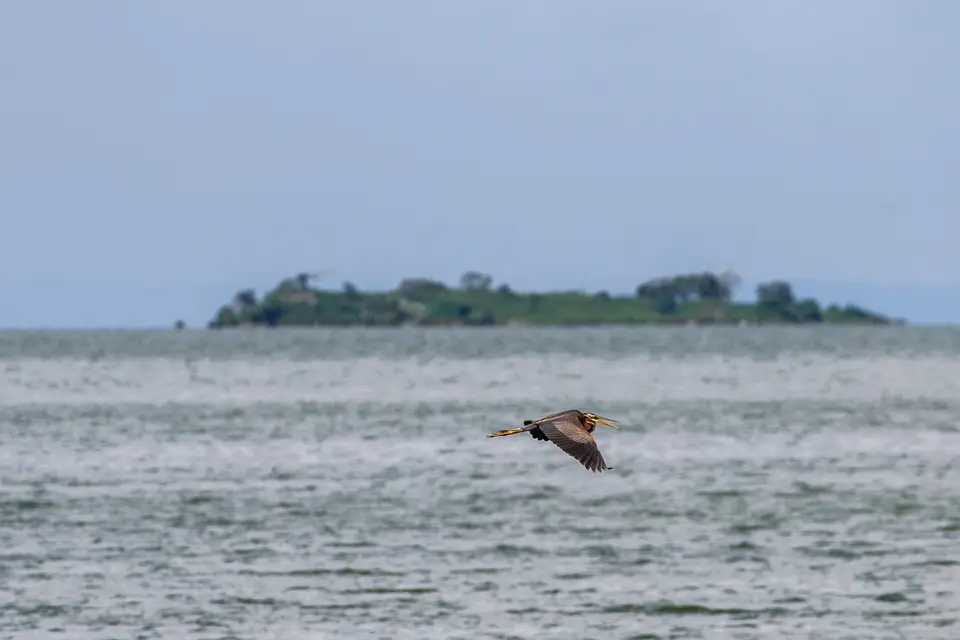 Canon_Uganda_2017_7D2_3586.jpg