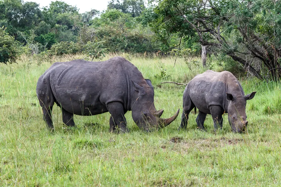 Canon_Uganda_2017_7D2_3660.jpg