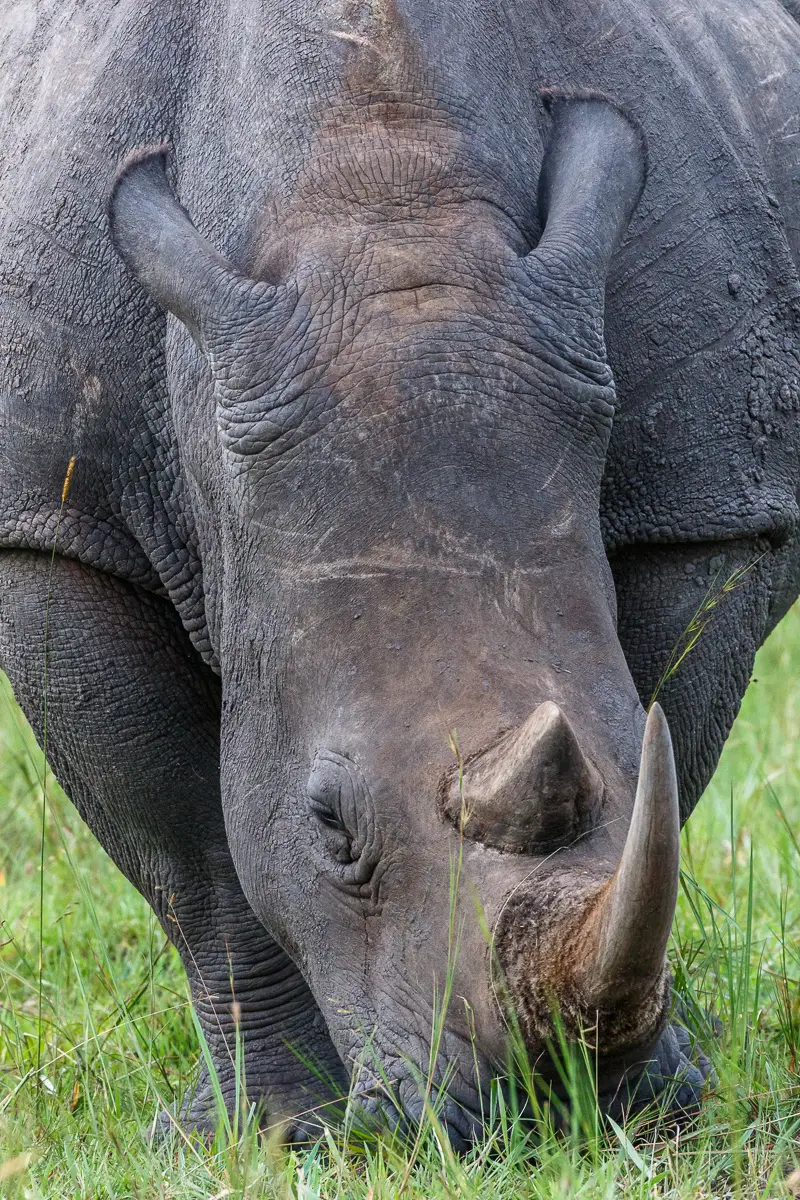 Canon_Uganda_2017_7D2_3663.jpg