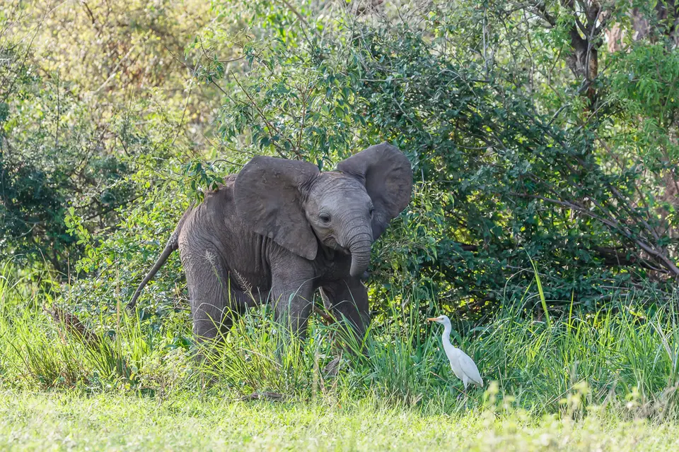 Canon_Uganda_2017_7D2_3757.jpg