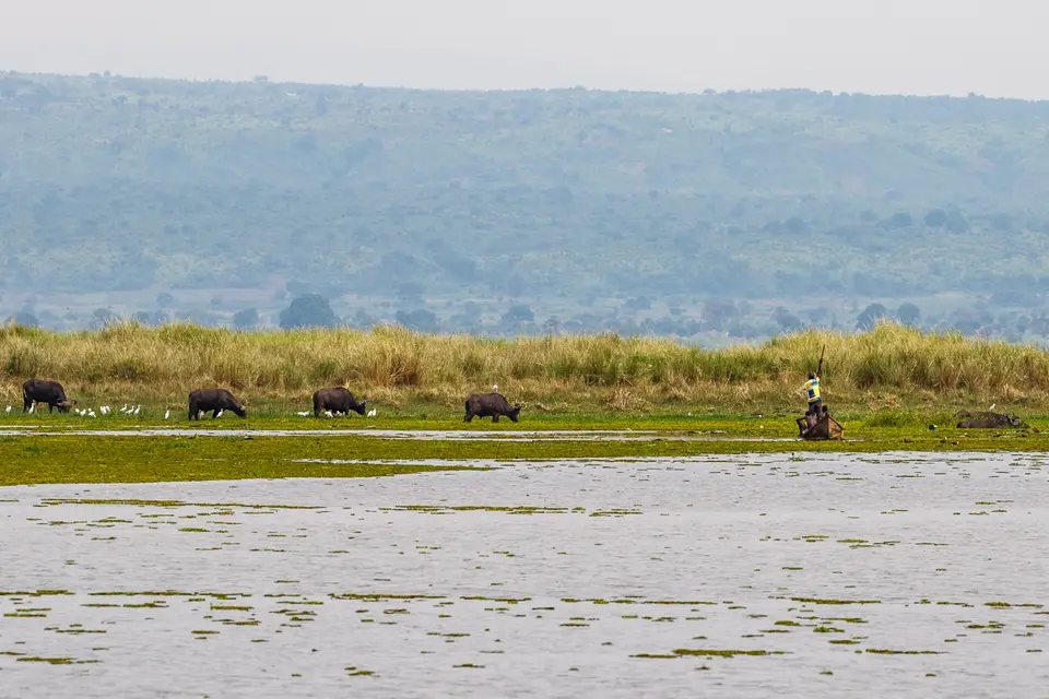 Canon_Uganda_2017_7D2_3894.jpg