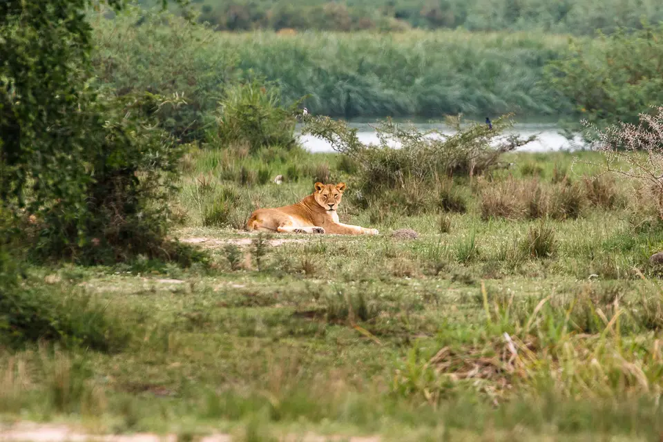 Canon_Uganda_2017_7D2_3919.jpg