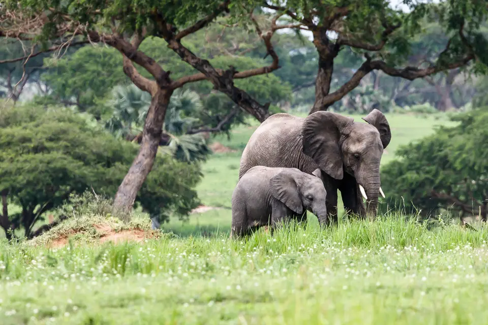 Canon_Uganda_2017_7D2_4190.jpg