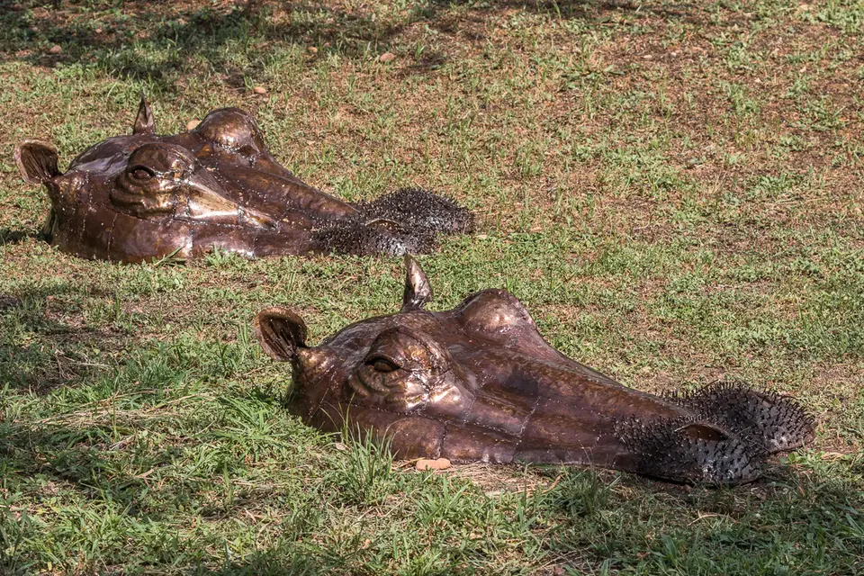 Canon_Uganda_2017_7D2_4350.jpg