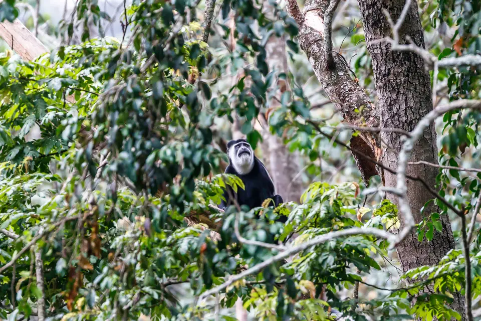 Canon_Uganda_2017_7D2_4480.jpg