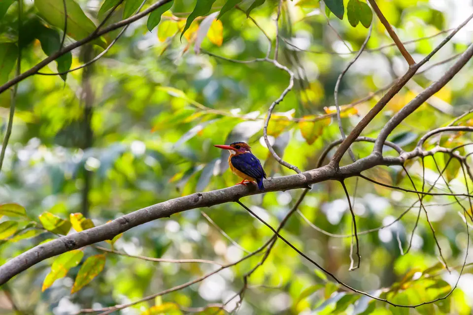 Canon_Uganda_2017_7D2_4591.jpg