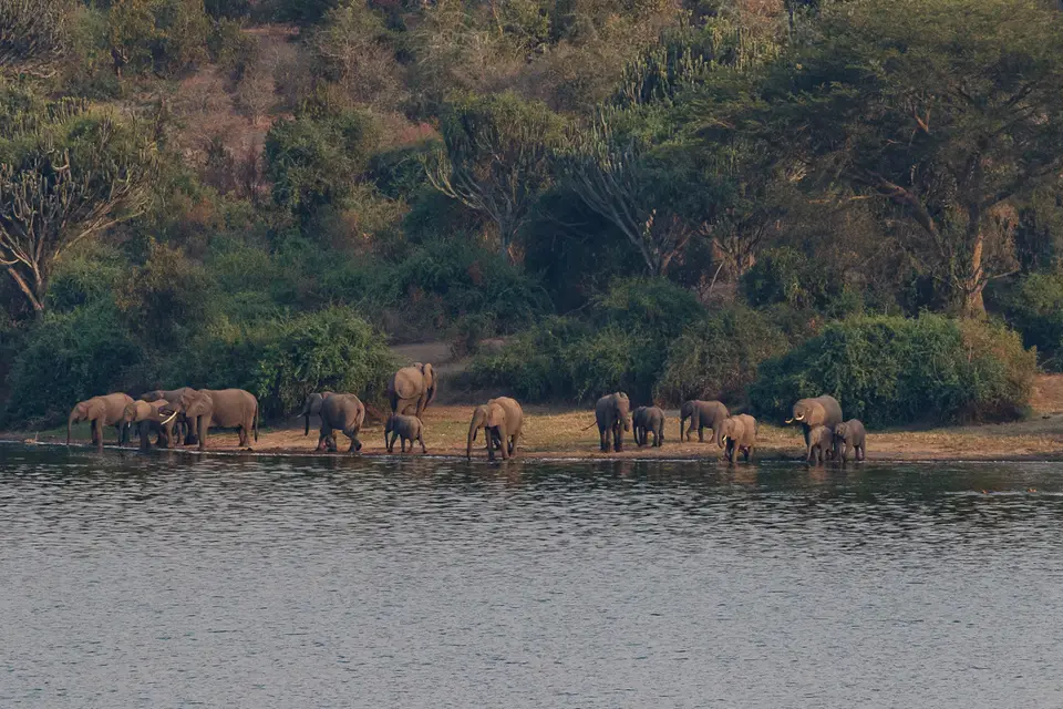 Canon_Uganda_2017_7D2_4771.jpg