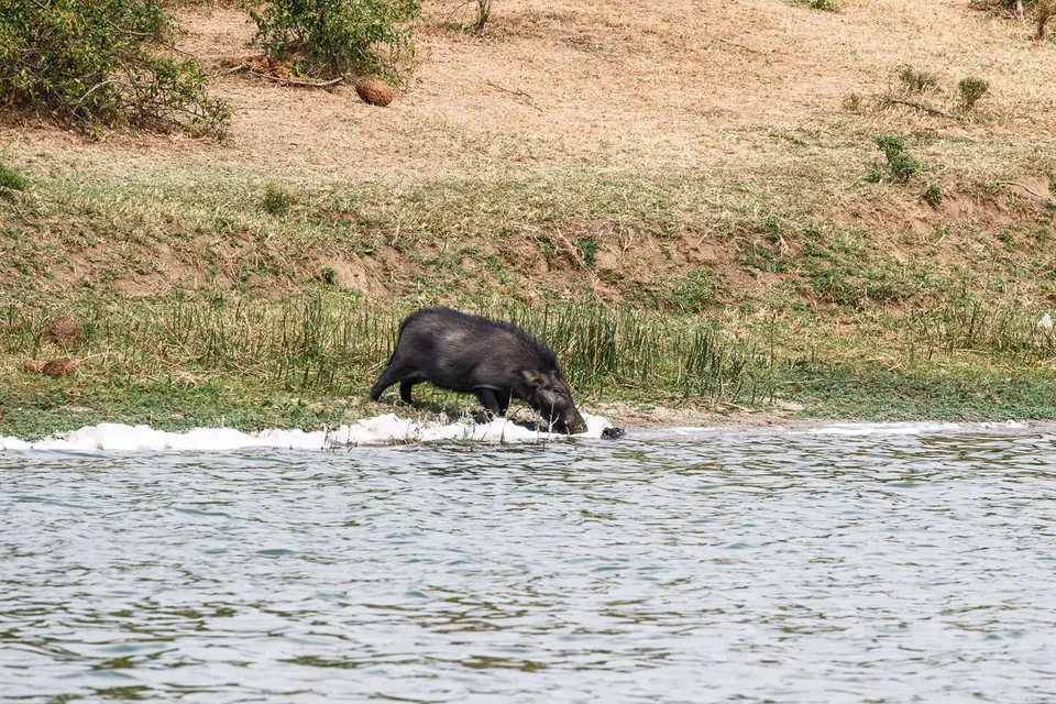 Canon_Uganda_2017_7D2_4903.jpg