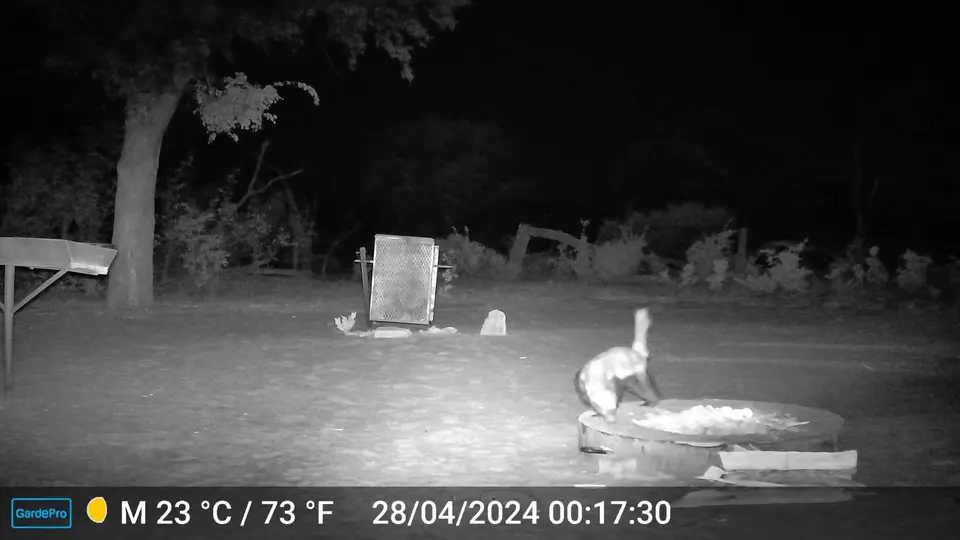 DSCF0070.JPG