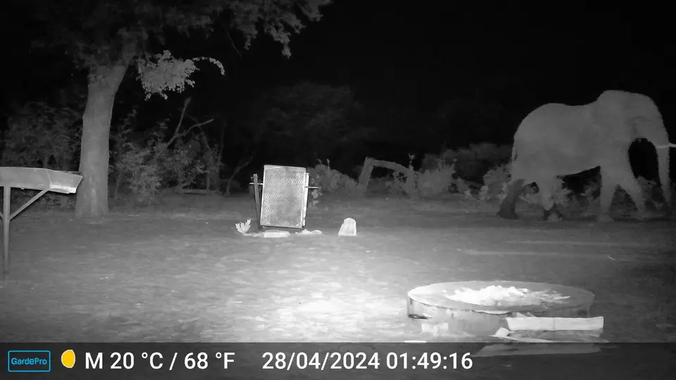 DSCF0082.JPG