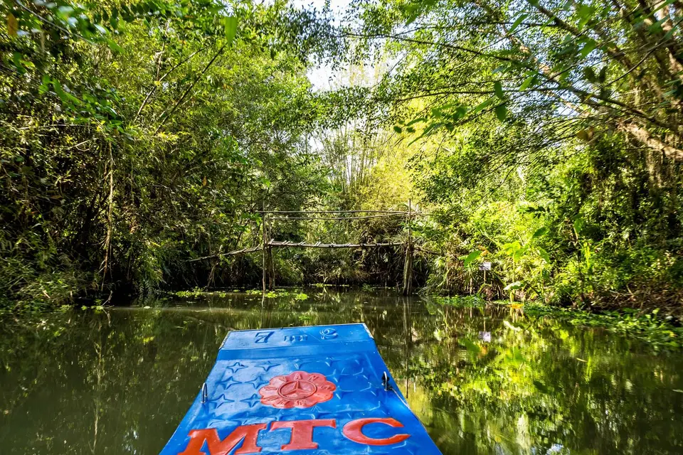 M1396413_Radiant.jpg