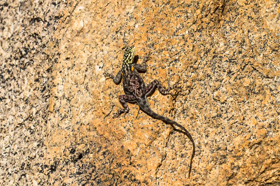 Namibia2012-329.jpg