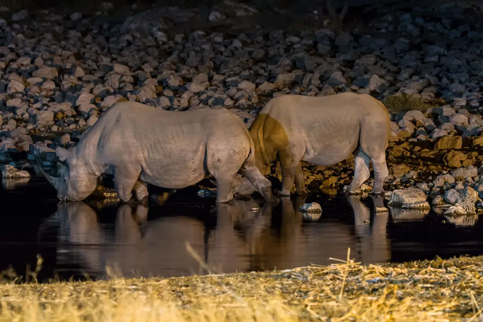 Namibia2012-422.jpg