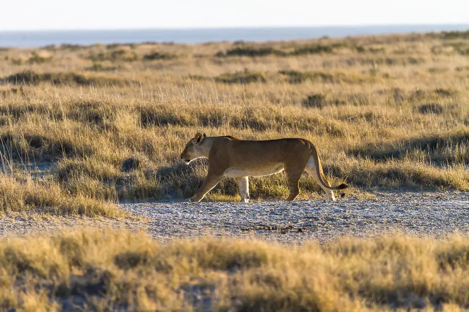 Namibia2012-434.jpg