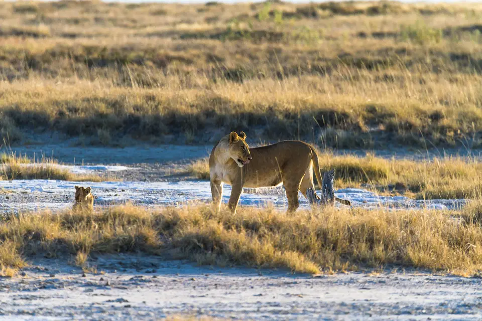 Namibia2012-436.jpg