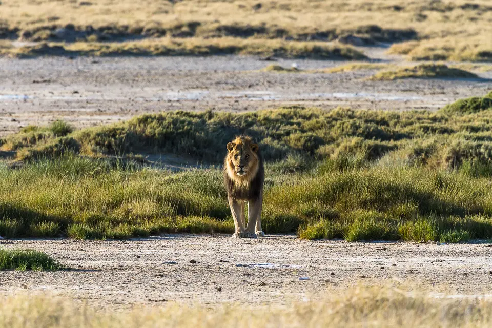 Namibia2012-442.jpg