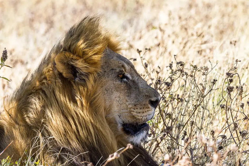 Namibia2012-485.jpg