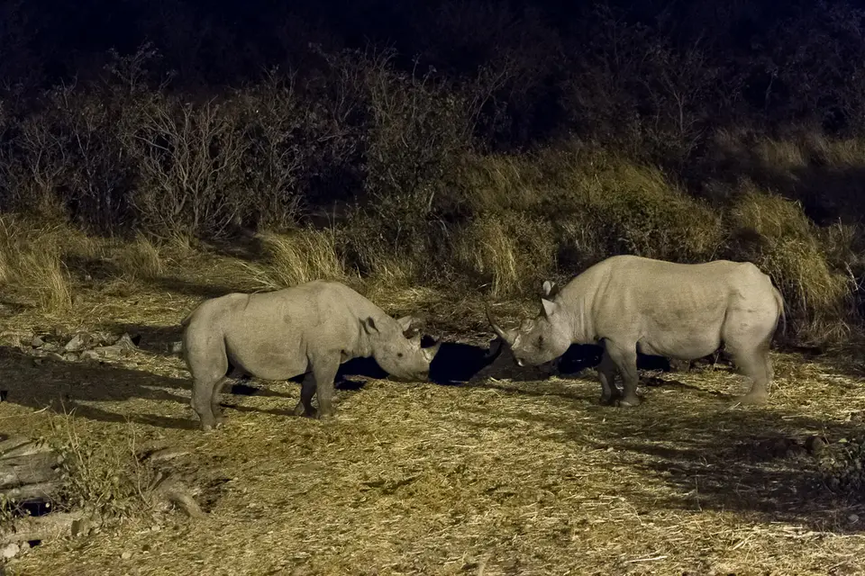 Namibia2012-501.jpg