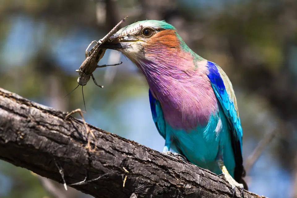Namibia2012-519.jpg