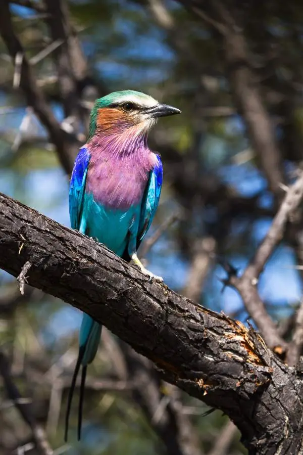 Namibia2012-520.jpg