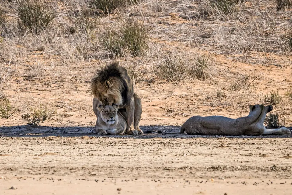 Namibia2023_20230502_OM102796-Bearbeitet.jpg