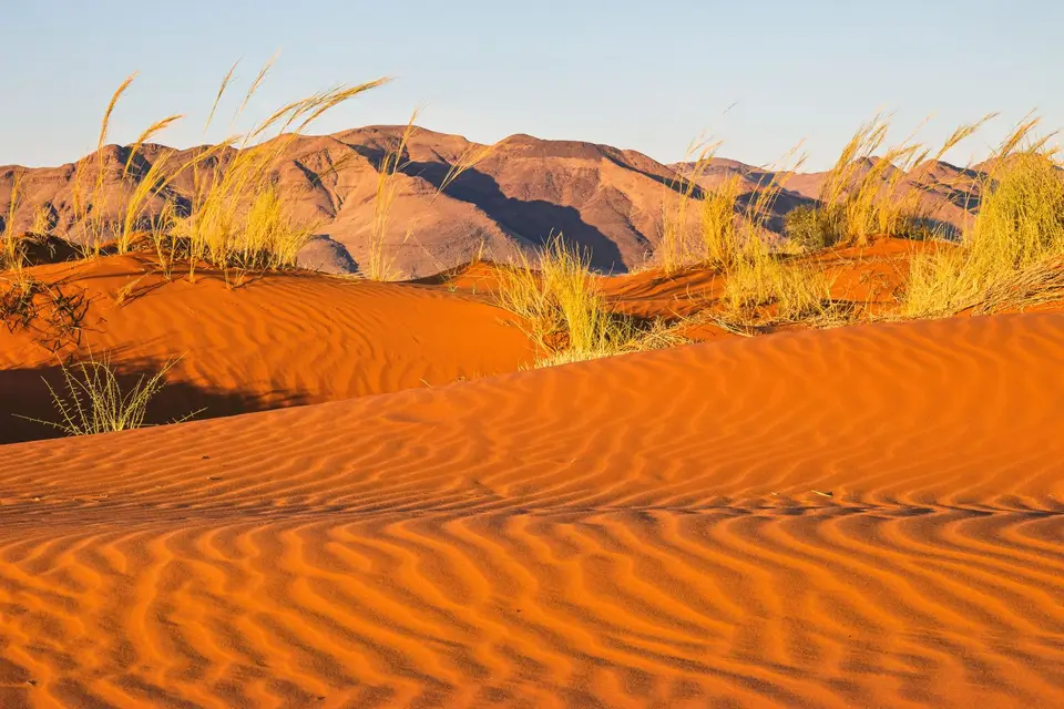 Namibia2023_20230511_OM103890-Bearbeitet.jpg