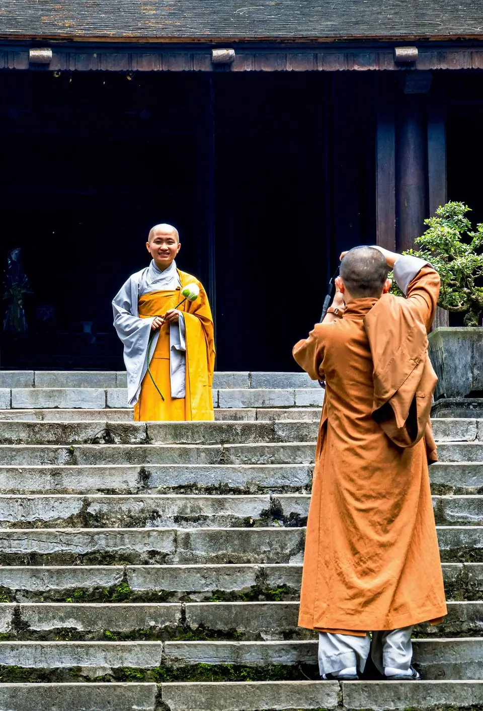 OM102832_Radiant.jpg