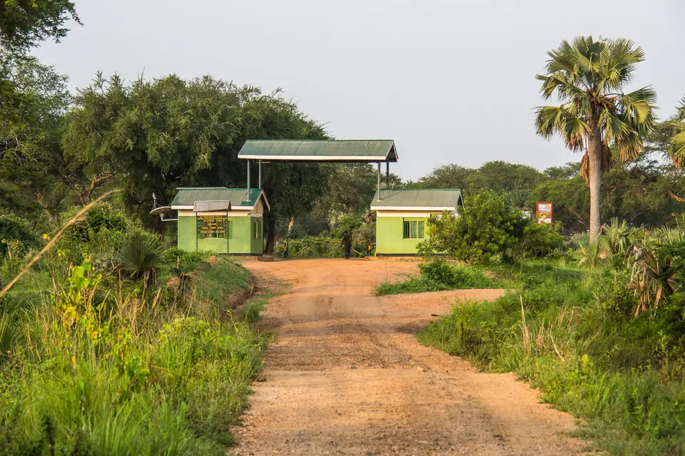 Oly_Uganda_2017_O7037096.jpg