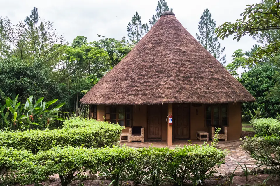 Oly_Uganda_2017_O7077272.jpg