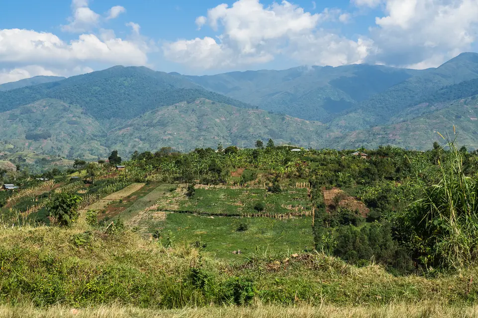 Oly_Uganda_2017_O7107382.jpg