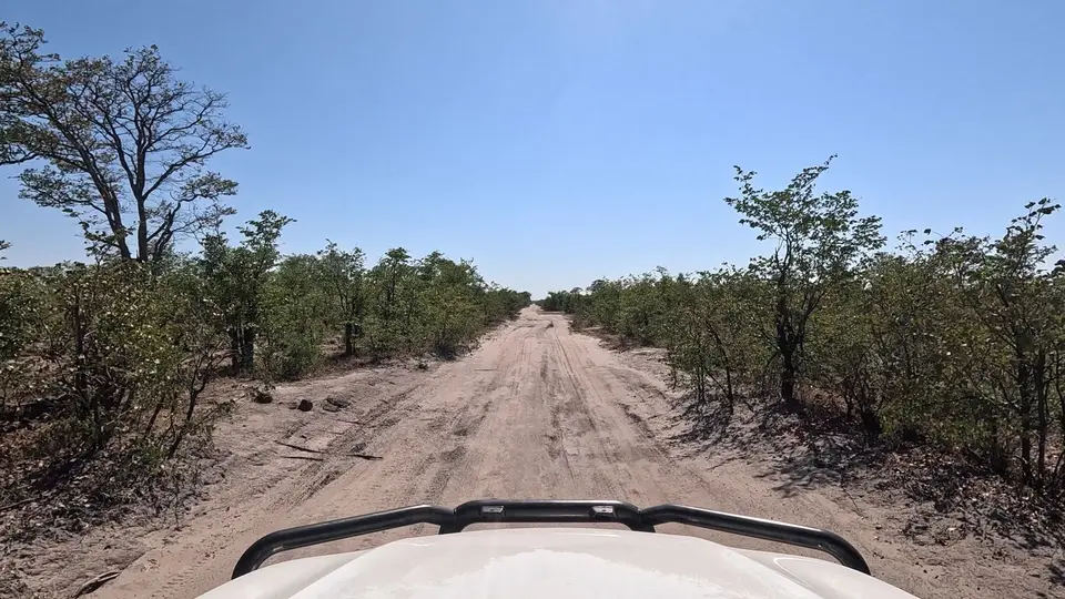 Savuti_Weg2.jpg