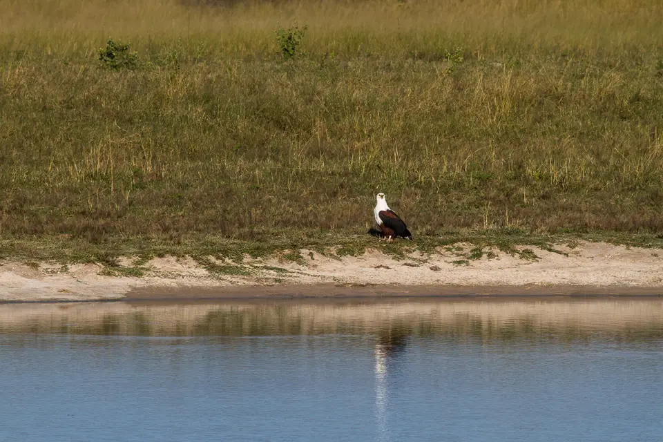 h3784586.jpg