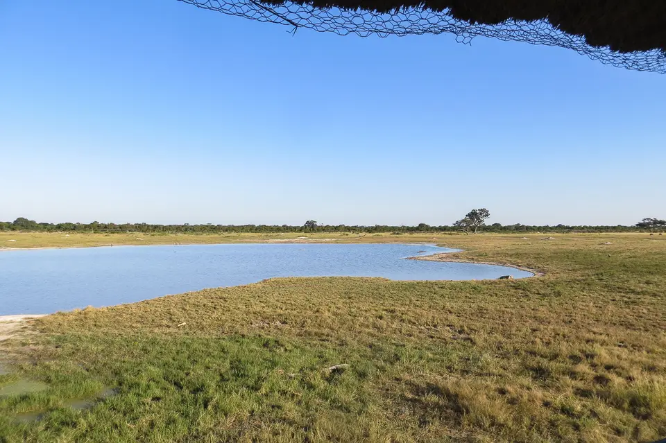 h667995c.jpg