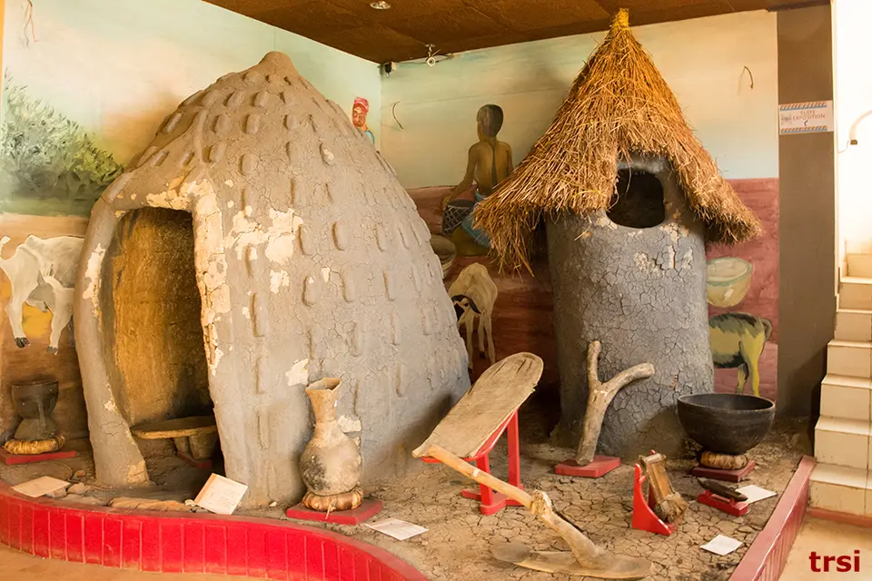 DS1_8320.jpg