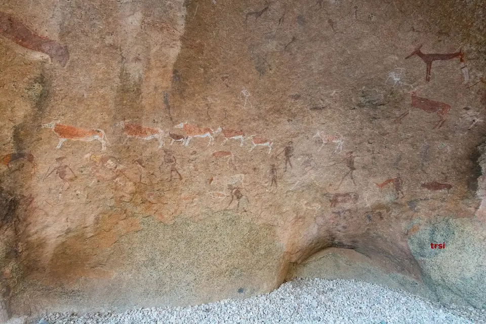 DS1_9938.jpg