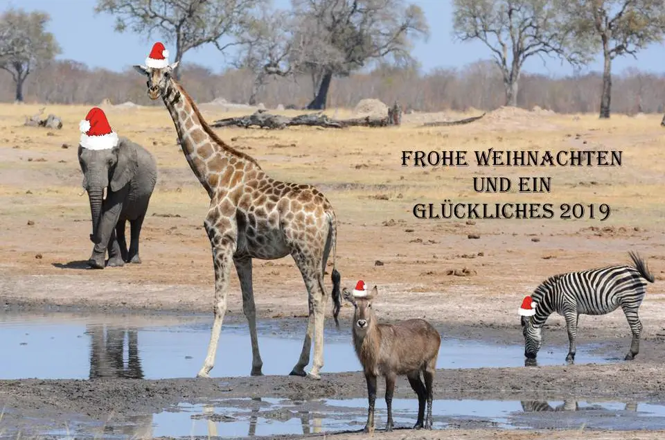 2019Weihnachten.jpg