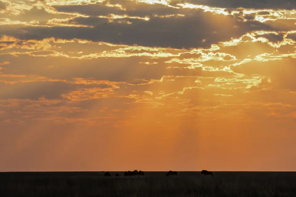 28APR2016Namibia1303.jpg