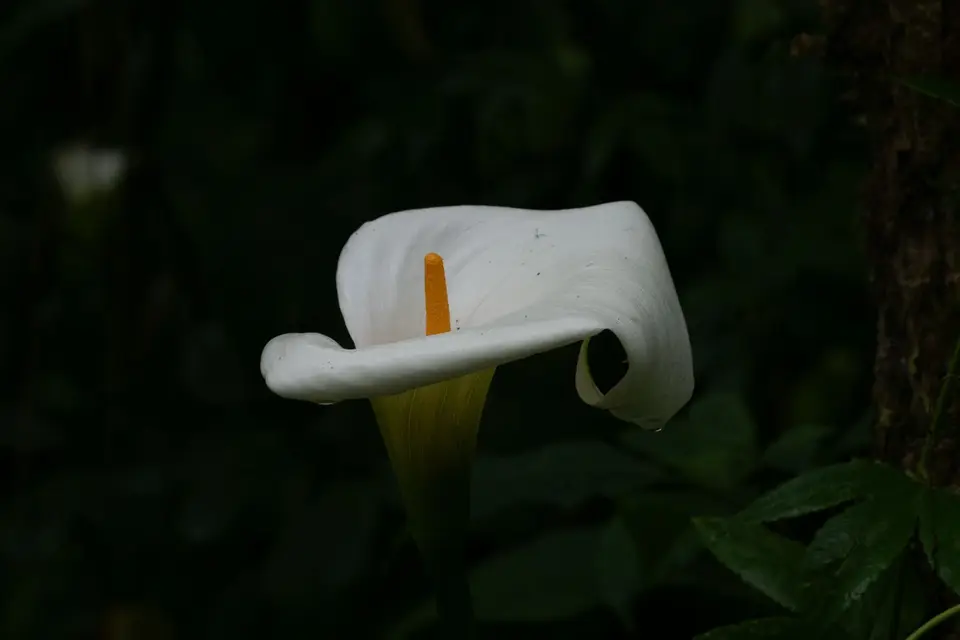 6P8210512.jpg